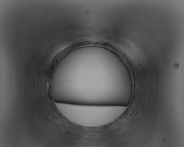 X0000094811302200711160954