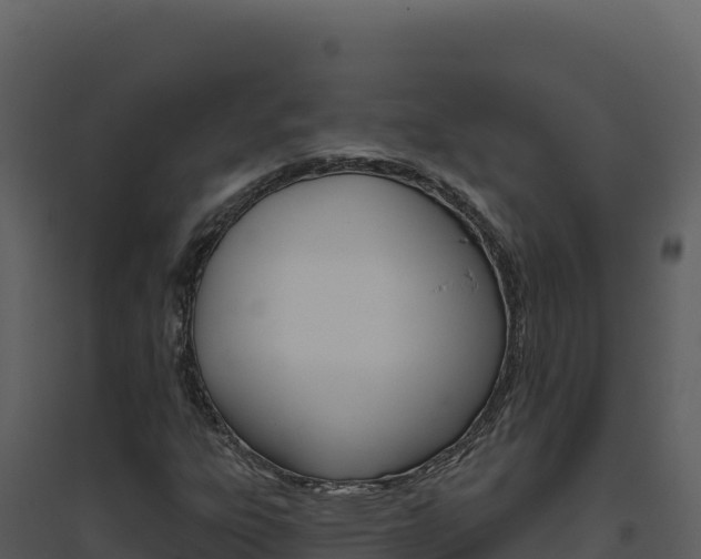 X0000094811303200711160954