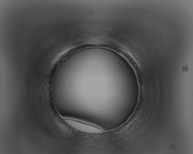 X0000094811304200711160954