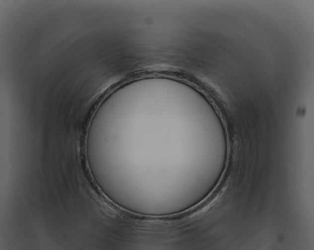 X0000094811305200711160954