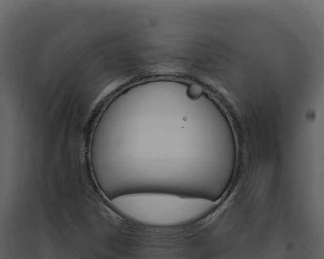 X0000094811306200711160954