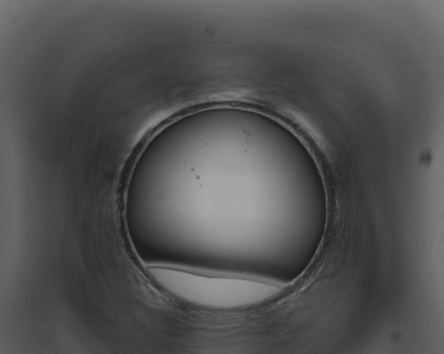 X0000094811308200711160954