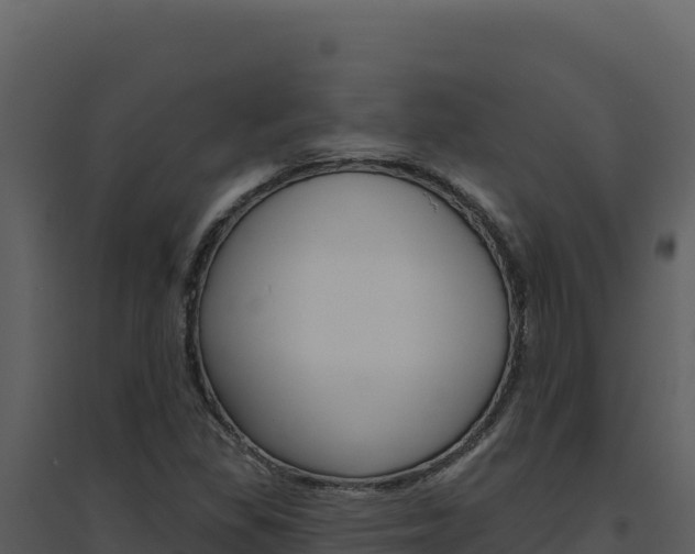 X0000094811309200711160954