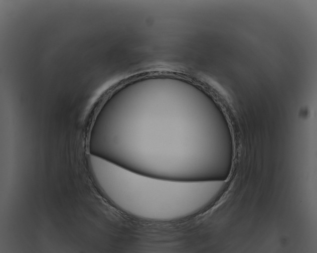 X0000094811310200711160954