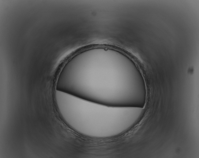 X0000094811311200711160954