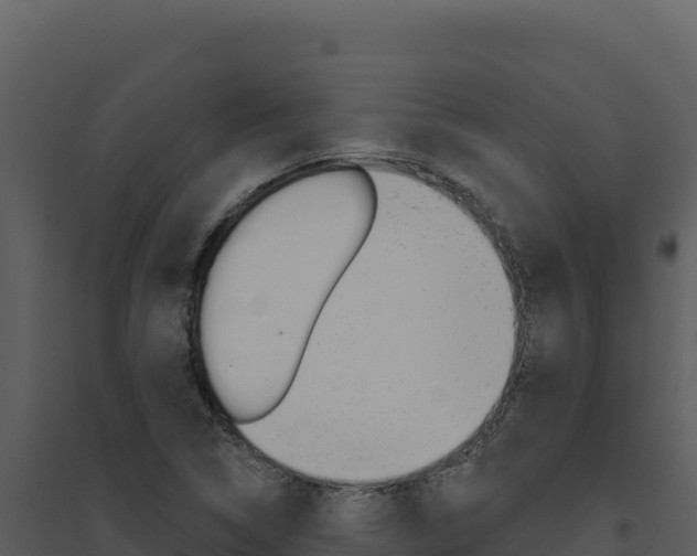 X0000094811314200711160954