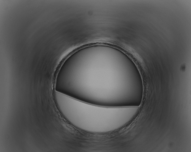 X0000094811316200711160954