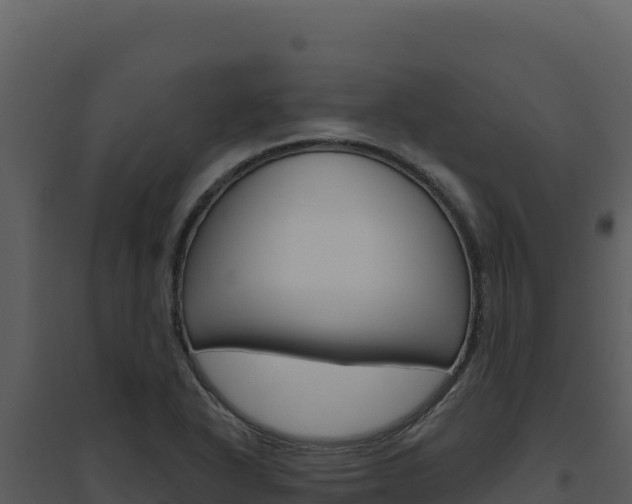 X0000094811318200711160954