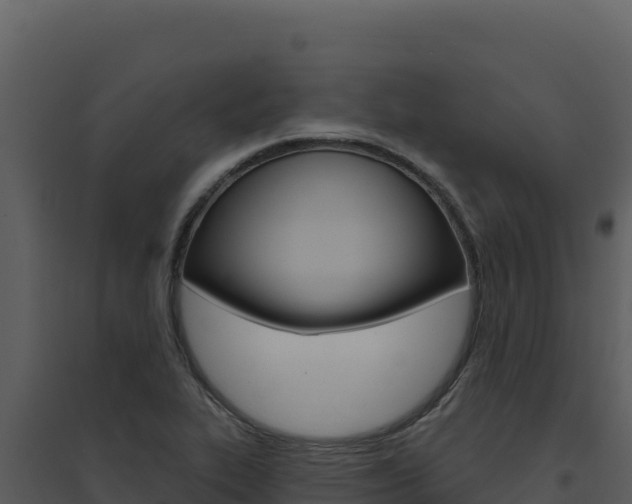 X0000094811319200711160954