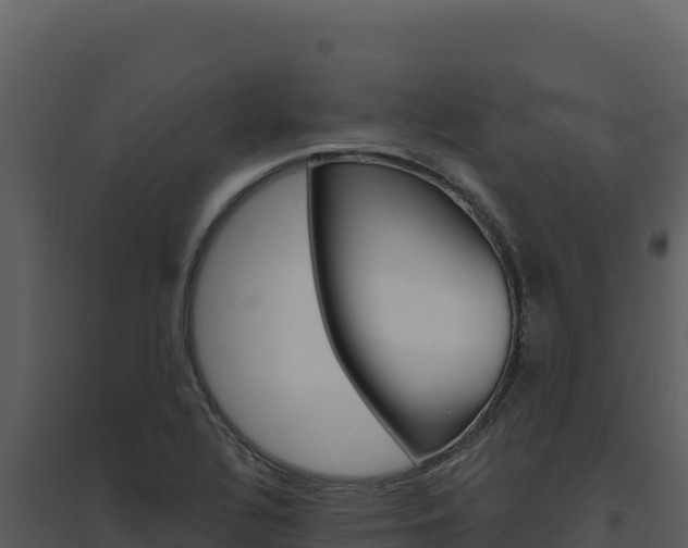 X0000094811320200711160954