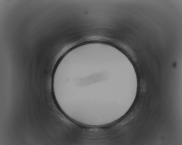 X0000094811322200711160954