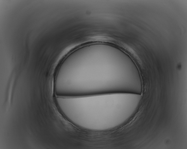 X0000094811323200711160954