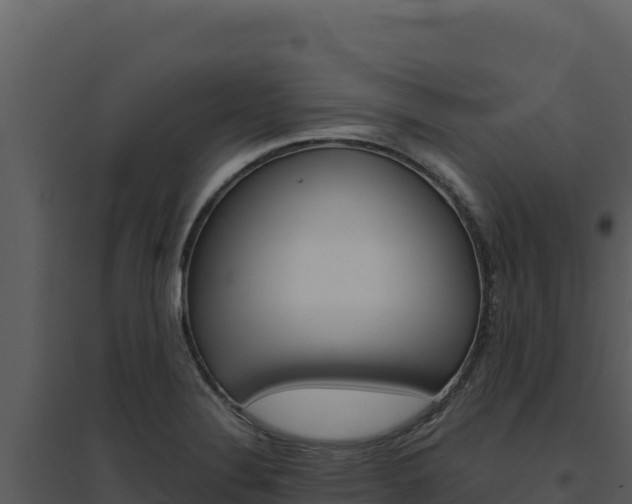 X0000094811324200711160955