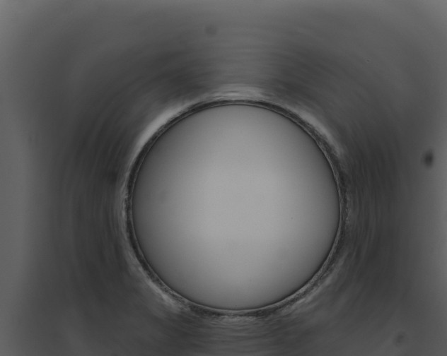 X0000094811325200711160955