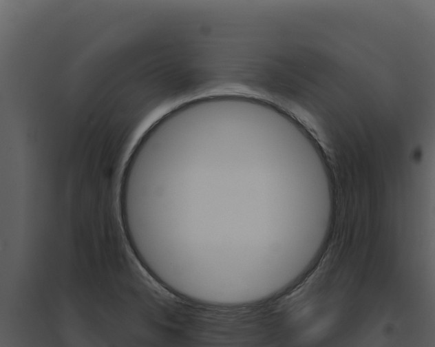 X0000094811326200711160955