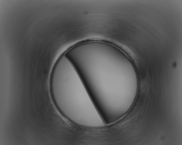 X0000094811327200711160955