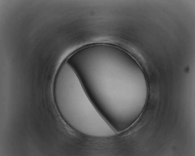 X0000094811328200711160955