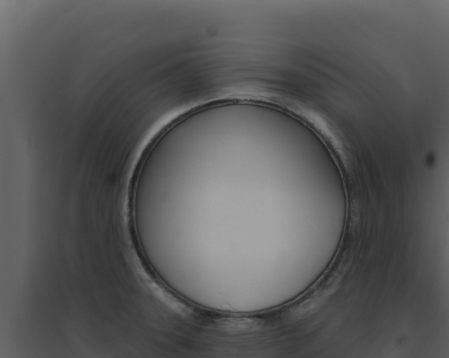 X0000094811331200711160955