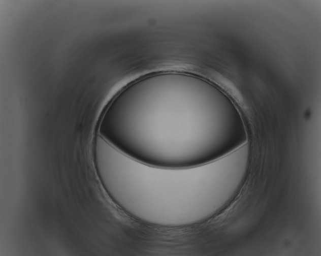 X0000094811332200711160955
