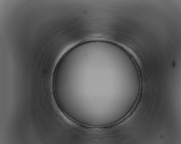 X0000094811333200711160955