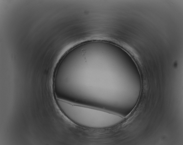 X0000094811334200711160955