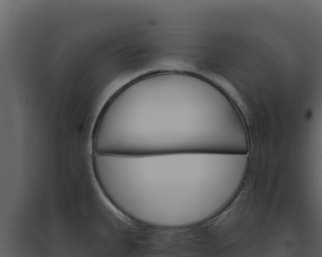 X0000094811335200711160955