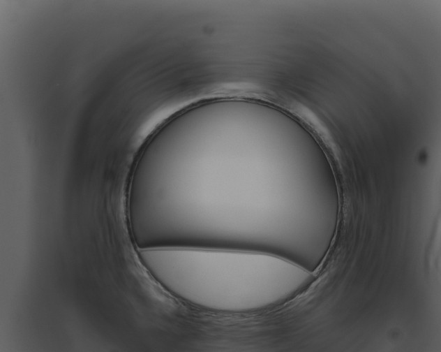 X0000094811336200711160955