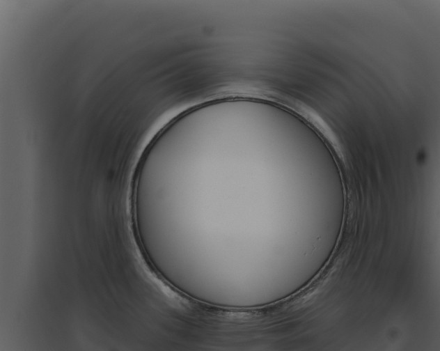 X0000094811339200711160955