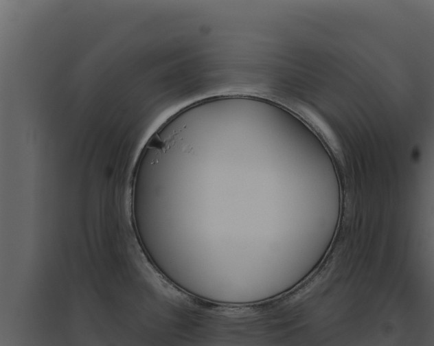X0000094811340200711160955