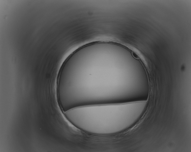 X0000094811343200711160955