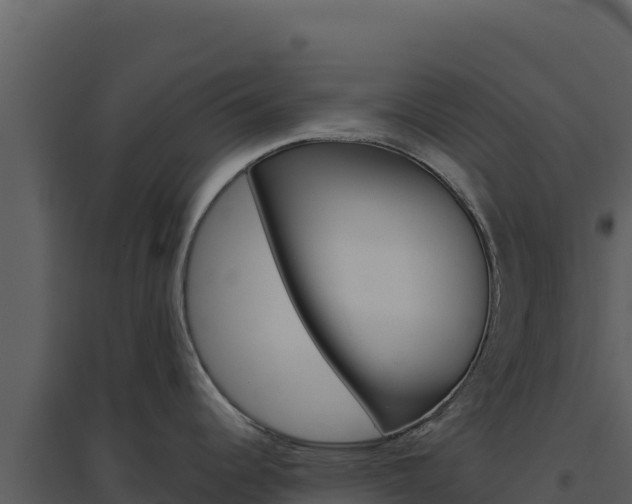 X0000094811344200711160955