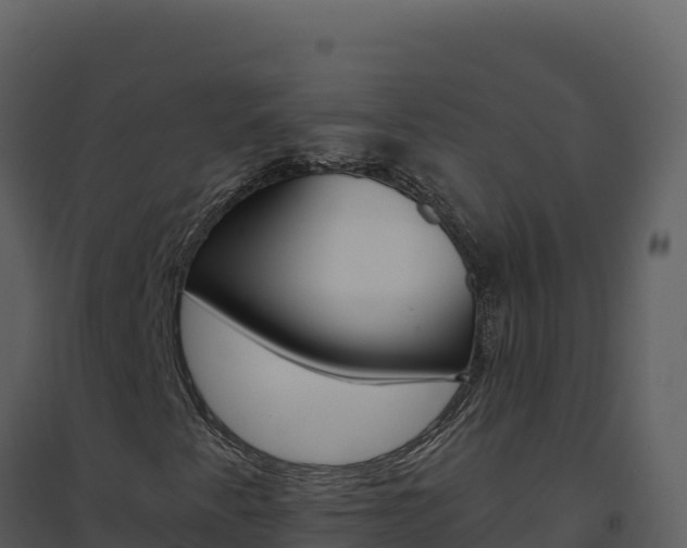 X0000094811345200711160954