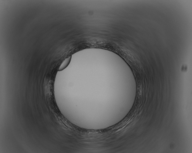X0000094811346200711160954