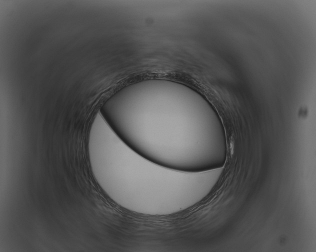 X0000094811347200711160954