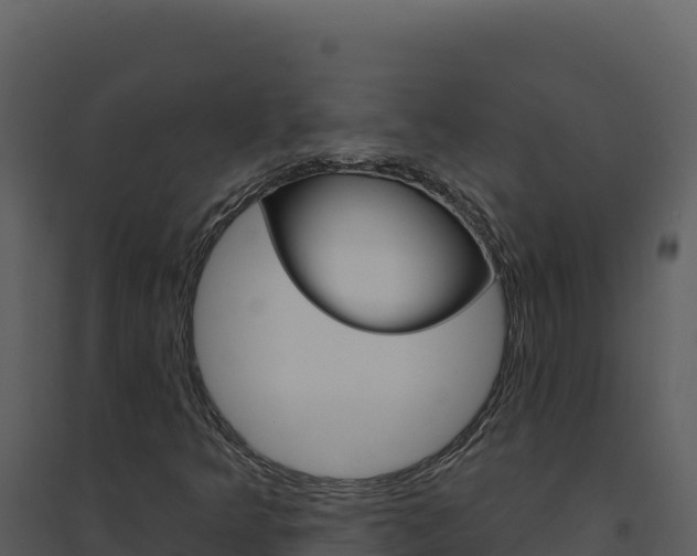 X0000094811349200711160954