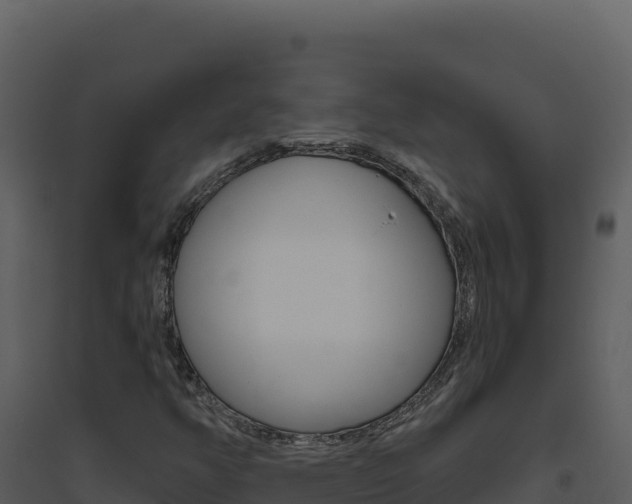 X0000094811350200711160954