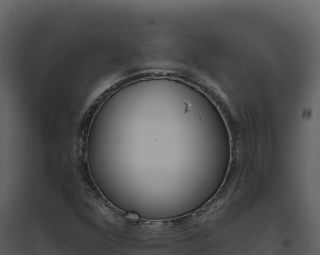 X0000094811352200711160954