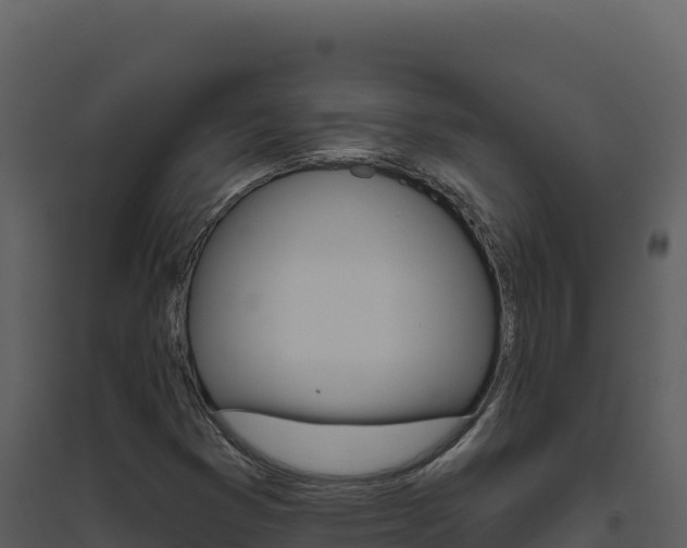 X0000094811353200711160954