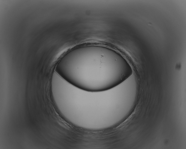 X0000094811355200711160954