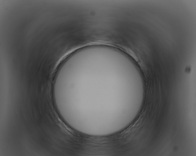 X0000094811356200711160954