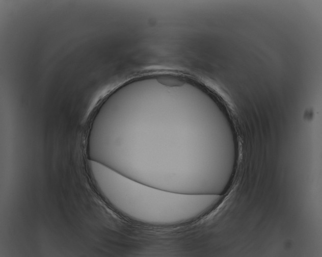 X0000094811357200711160954