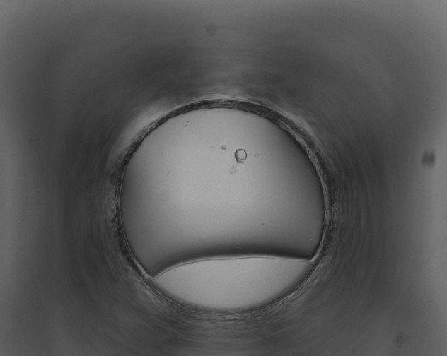 X0000094811359200711160954