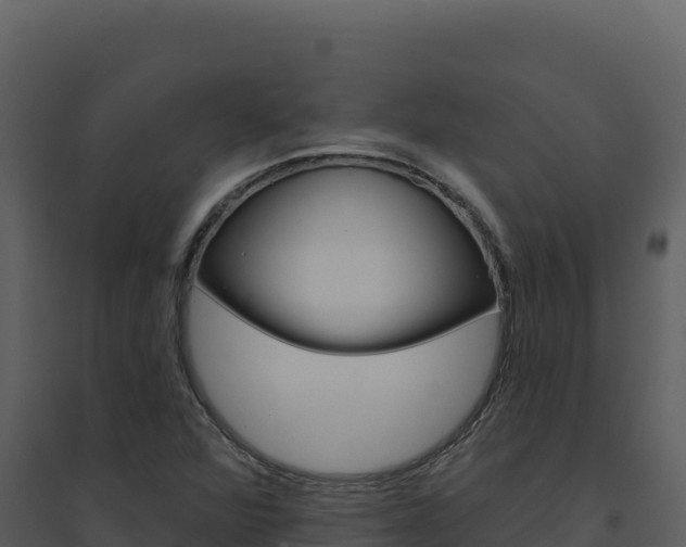 X0000094811360200711160954