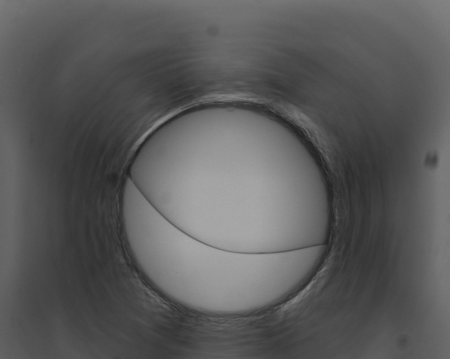 X0000094811361200711160954