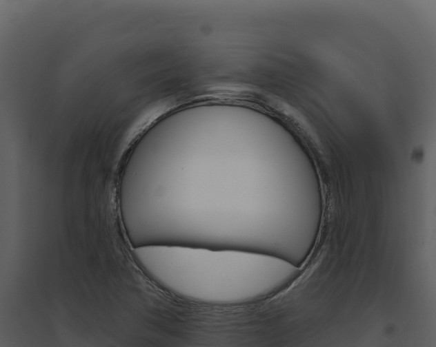 X0000094811362200711160954