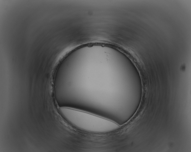 X0000094811363200711160954