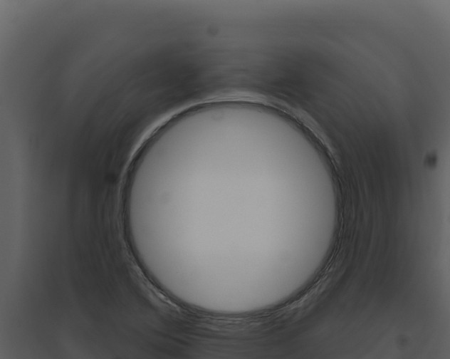 X0000094811364200711160954