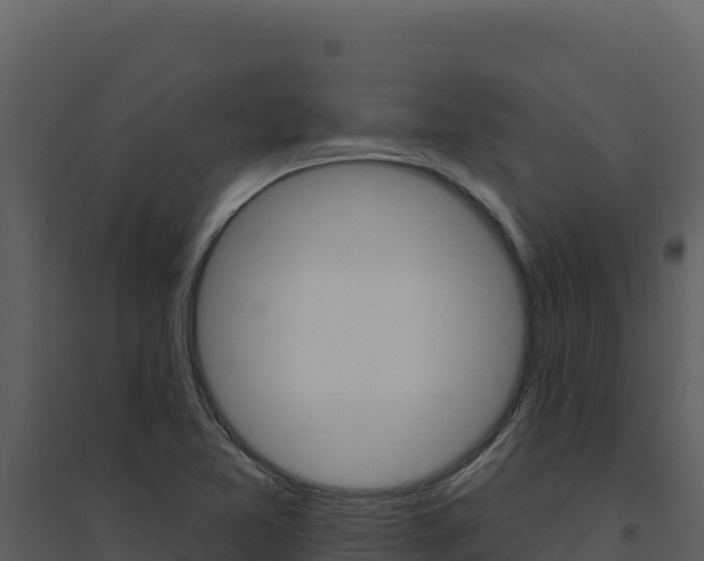X0000094811365200711160954