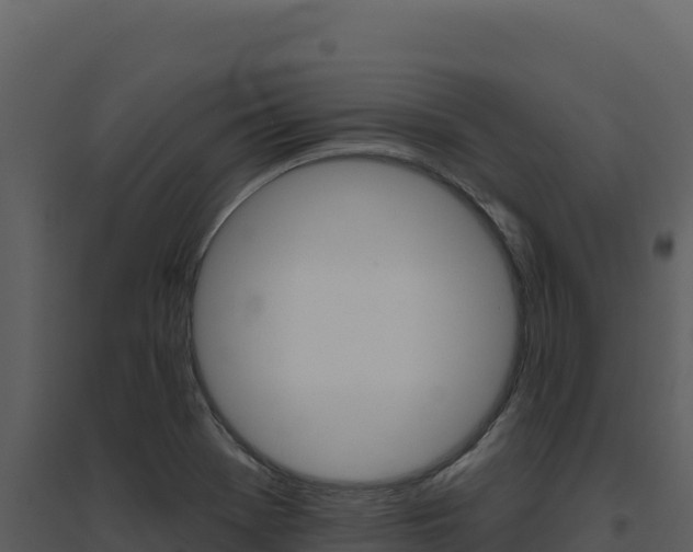 X0000094811369200711160954