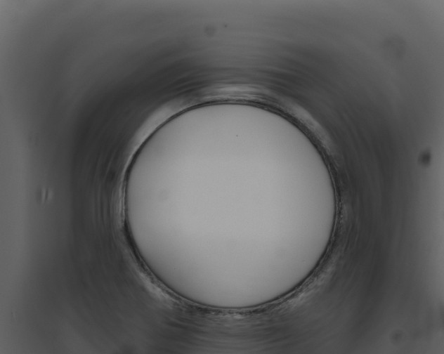 X0000094811370200711160954
